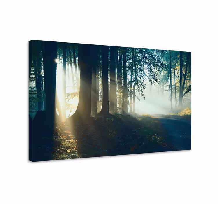 Canvas landschap mistige boswandeling - TenStickers