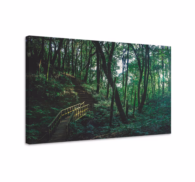 Canvas landschap bospaadje - TenStickers