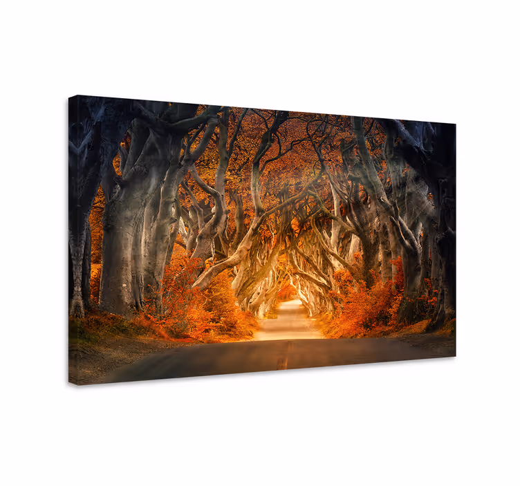 Canvas landschap mysterieus herfstpad - TenStickers