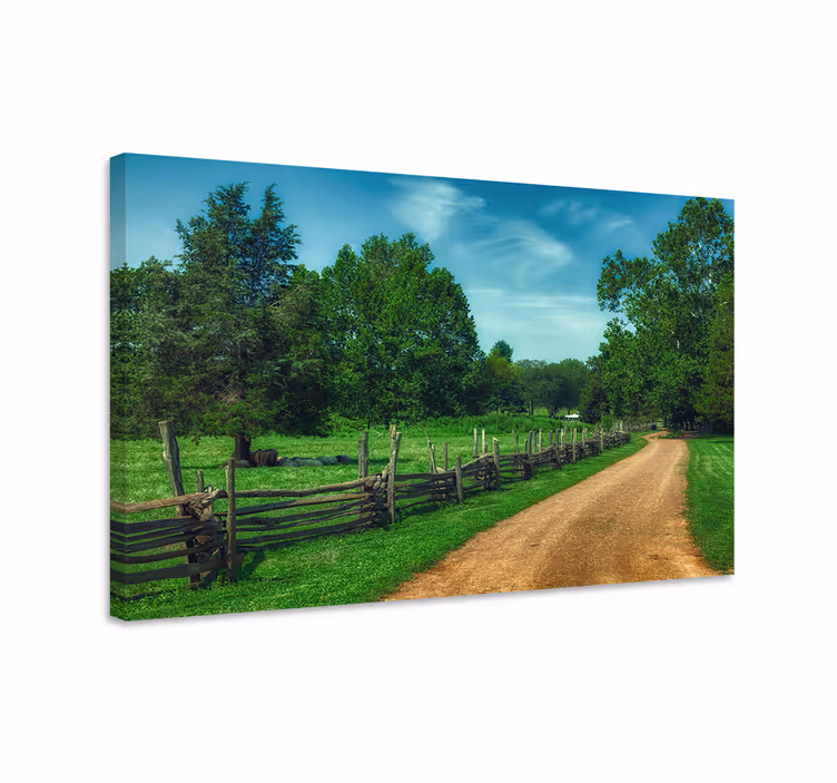 Canvas landschap rustig landpad - TenStickers