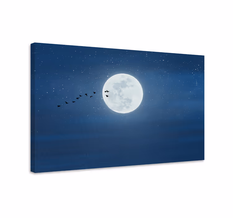 Canvas landschap maanschijnvlucht - TenStickers