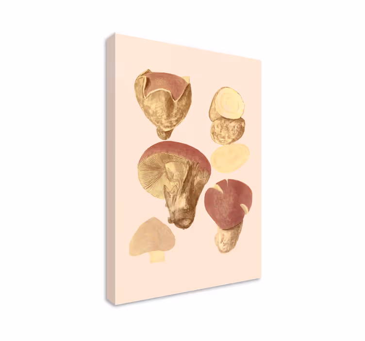 Vintage canvas schilderij paddenstoelen - TenStickers
