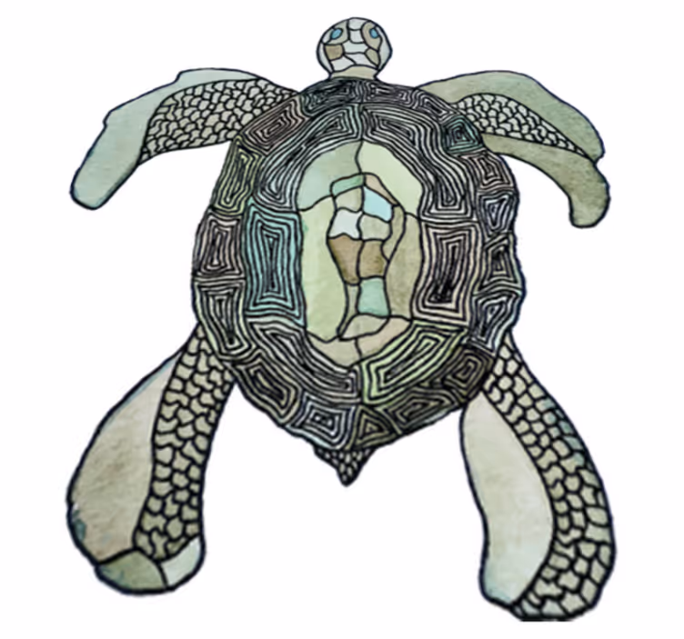 Dieren vinyl tapijt klassieke schildpad - TenStickers