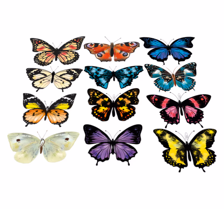 Dieren vinyl tapijt met vlinderillustratie - TenStickers