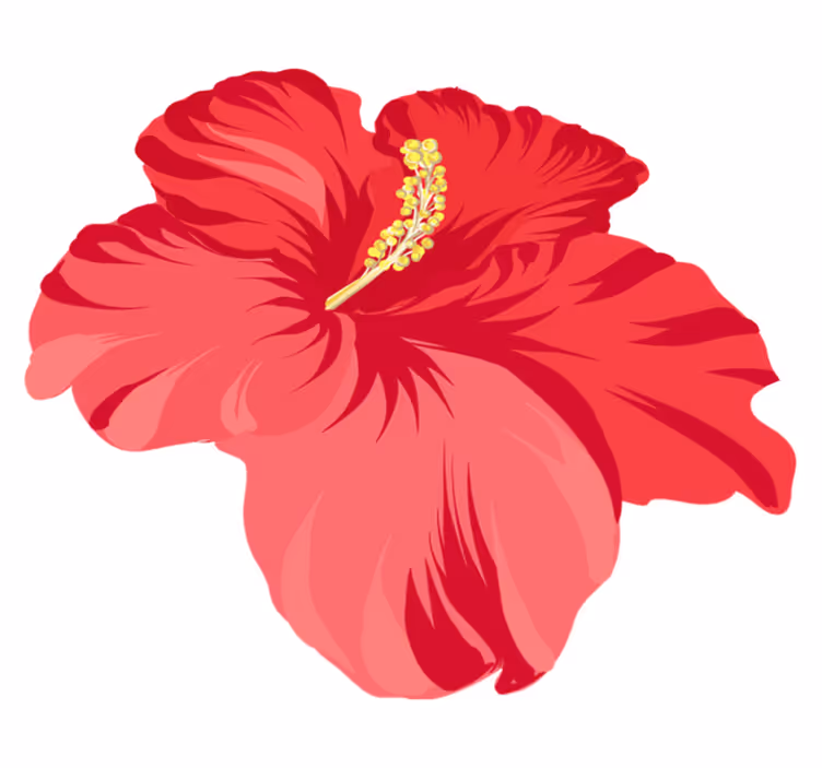 Vinyl tapijt bloemen en planten rode hibiscus kit - TenStickers