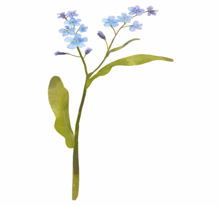 Vinyl tapijt bloemen en planten elegante blauwe plant - TenStickers