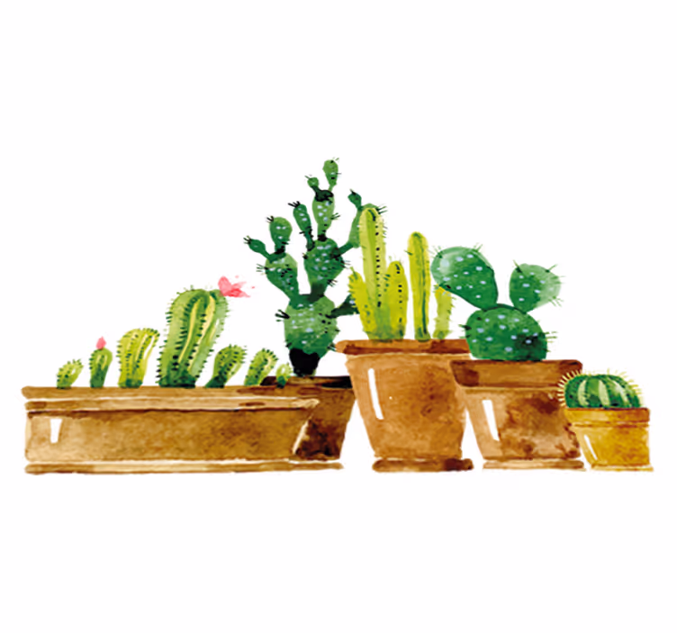 Vinyl tapijt bloemen en planten zelfgemaakte cactus tuin - TenStickers