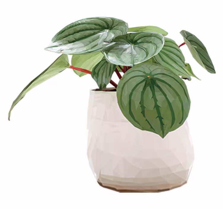 Vinyl tapijt bloemen en planten eenvoudige kamerplant - TenStickers