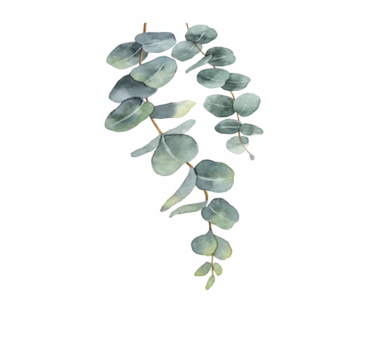 Vinyl tapijt bloemen en planten eucalyptus takken - TenStickers