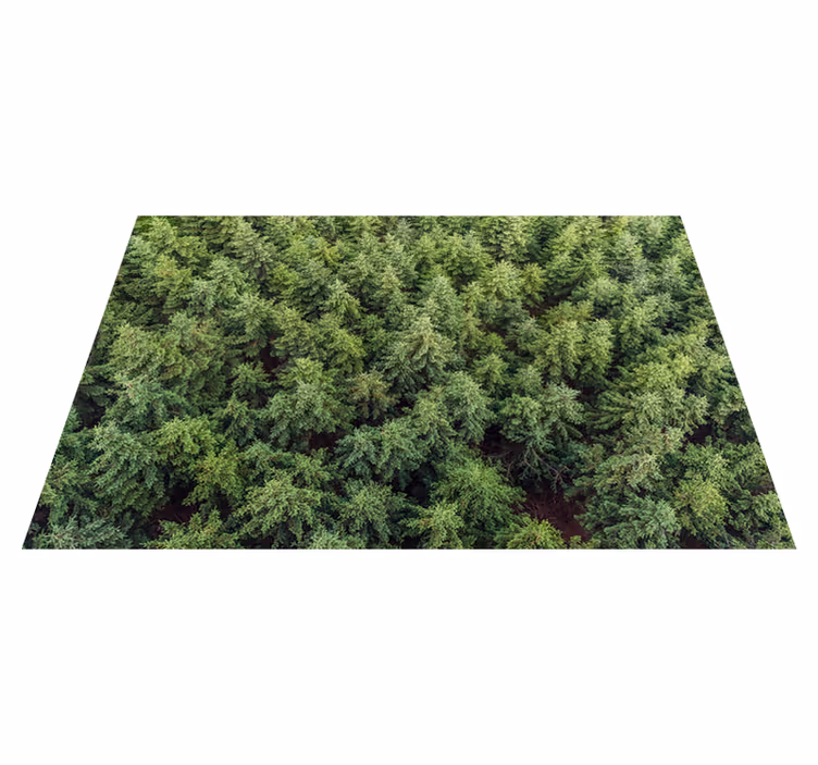 Luchtfoto van het bos vinyl tapijt natuur - TenStickers