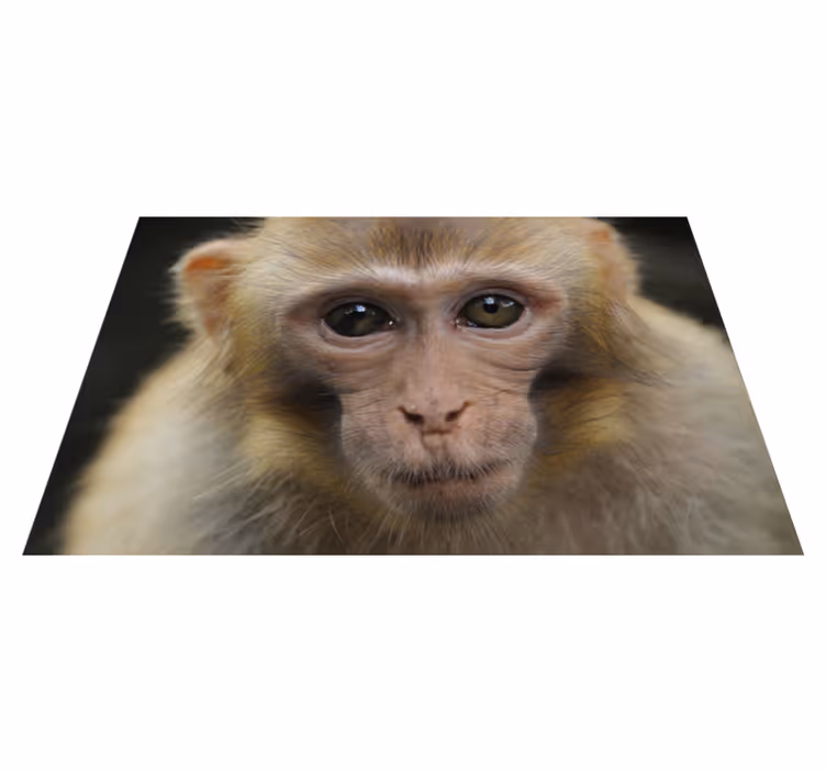 Baby aap gezicht dieren vinyl tapijt - TenStickers