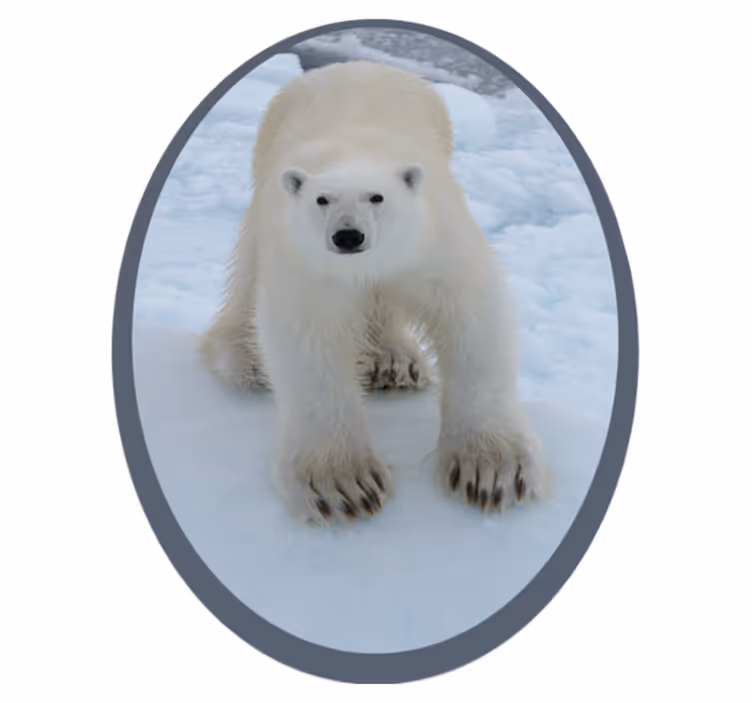 Afbeelding van een ijsbeer dieren vinyl tapijt - TenStickers