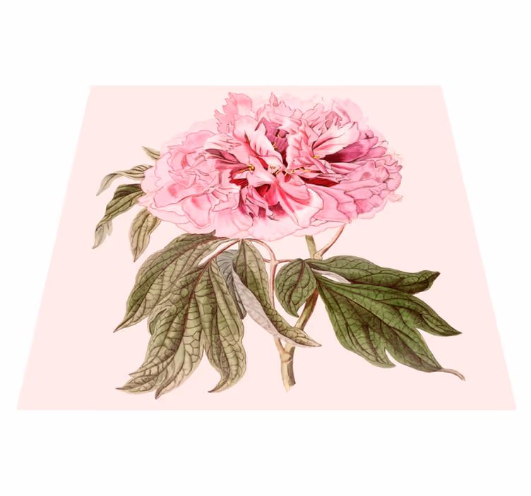 Roze pioenroosbloesem vinyl tapijt bloemen en planten - TenStickers