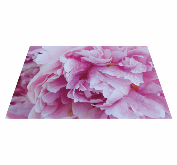 Rooskleurige pioenroos bloei vinyl tapijt bloemen en planten - TenStickers
