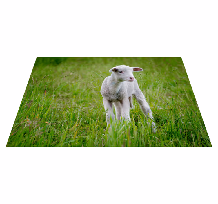 Lammetje staand dieren vinyl tapijt - TenStickers