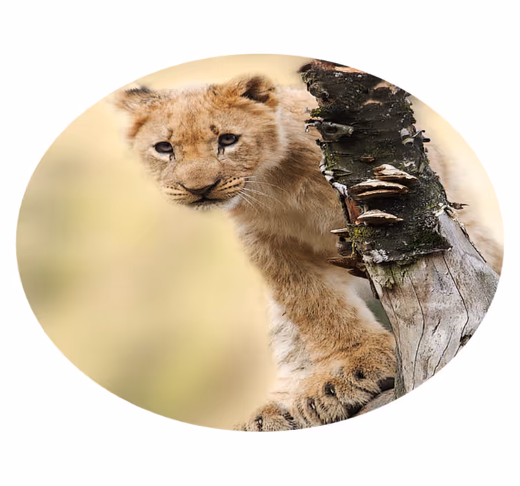 Vinyl vloerkleed dieren Dierlijke schattige tijger - TenStickers