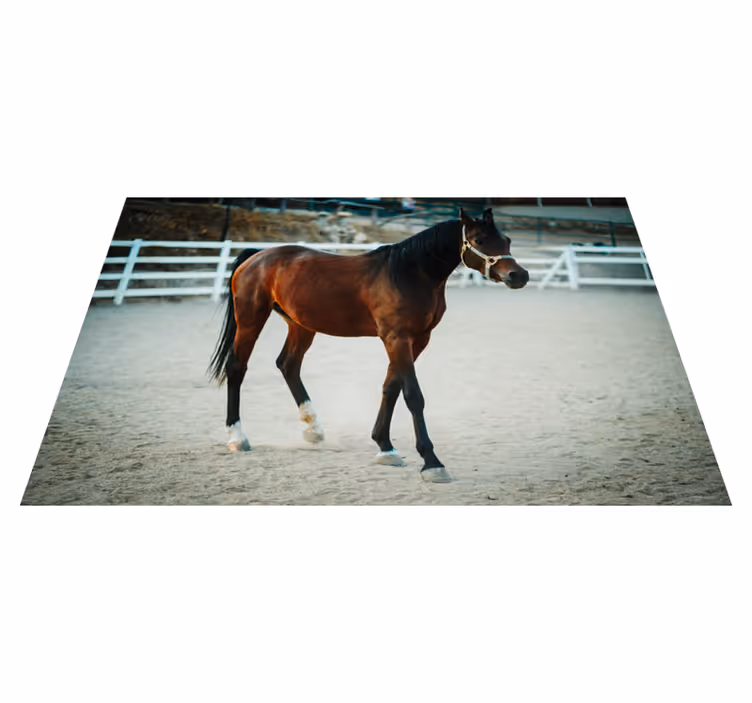 Majestueus paardenportret dieren vinyl tapijt - TenStickers