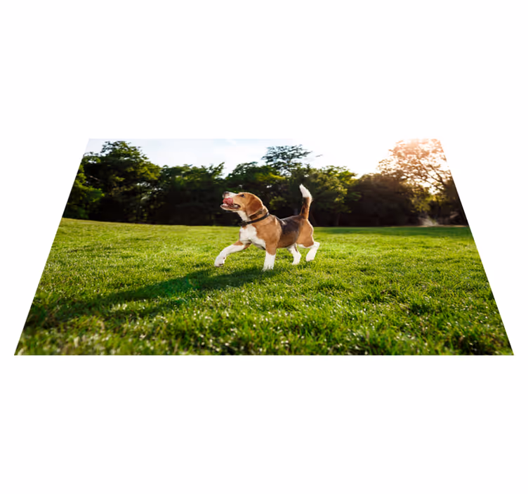 Blije beagle rent dieren vinyl tapijt - TenStickers