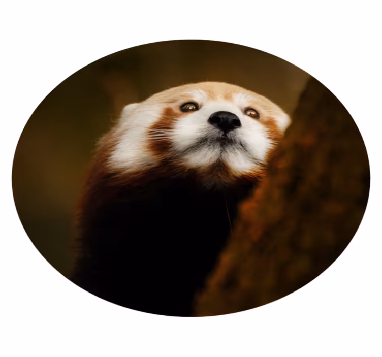 Rode vos portret dieren vinyl tapijt - TenStickers