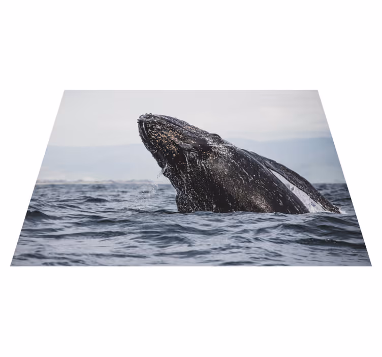 Majestueuze walvissprong vinyl tapijt natuur - TenStickers