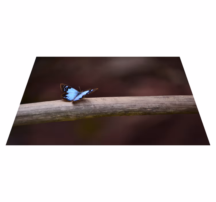 Vlinder op tak vinyl tapijt natuur - TenStickers