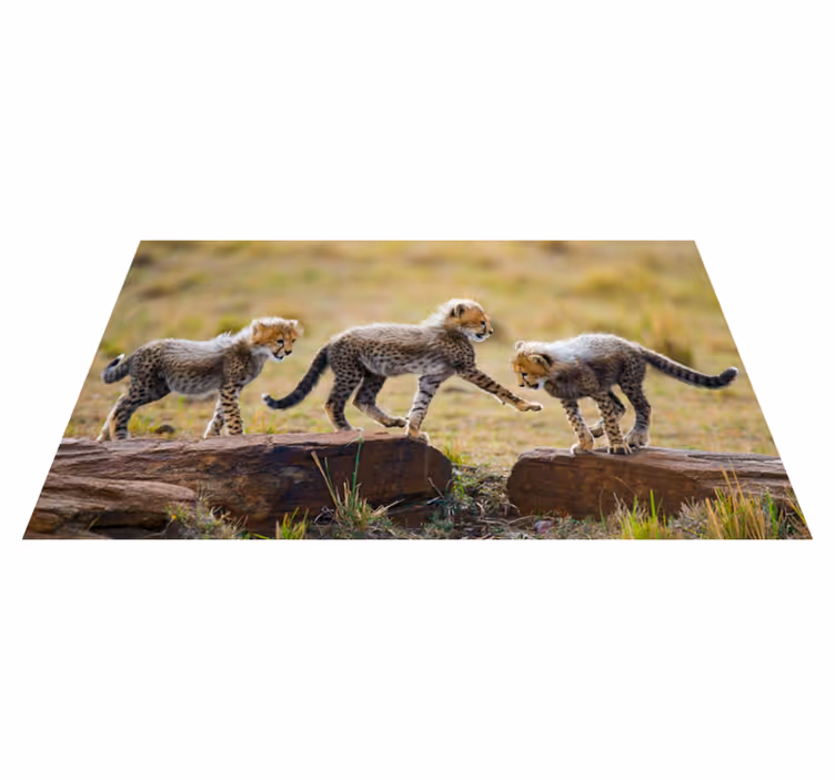 Vinyl vloerkleed dieren Dierlijke schattige cheetah welpen - TenStickers