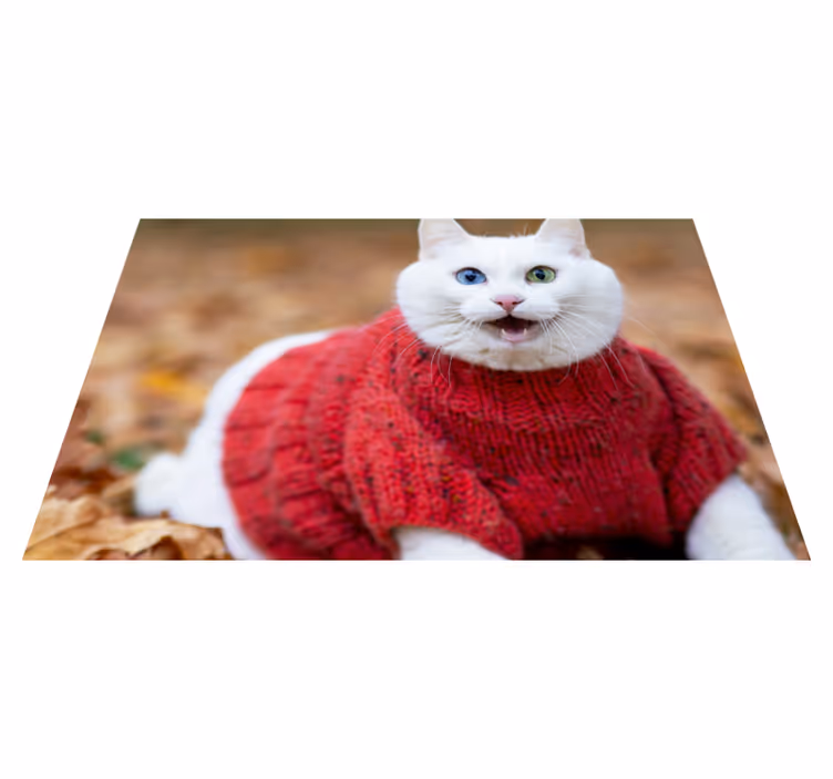 Speelse kattentrui dieren vinyl tapijt - TenStickers