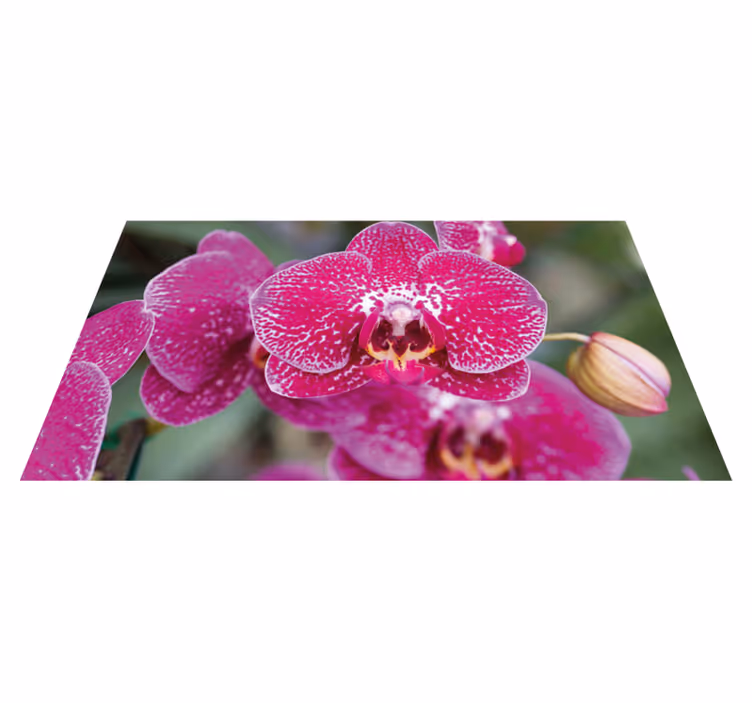 Levendige orchideeënbloesems vinyl tapijt bloemen en planten - TenStickers
