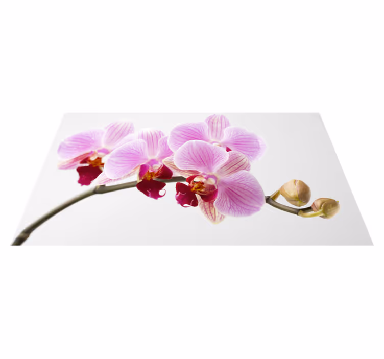 Roze orchideeënontwerp vinyl tapijt bloemen en planten - TenStickers