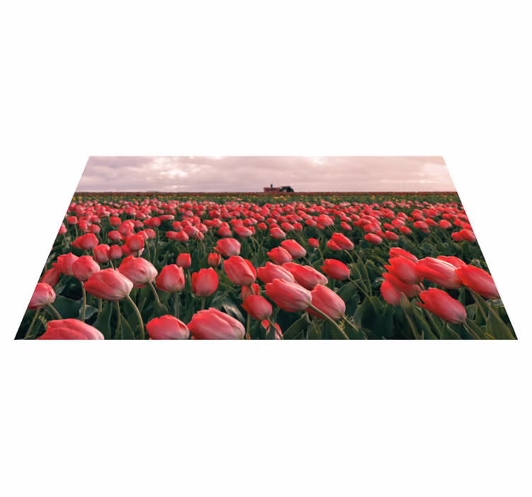 Levendig tulpenveld vinyl tapijt natuur - TenStickers
