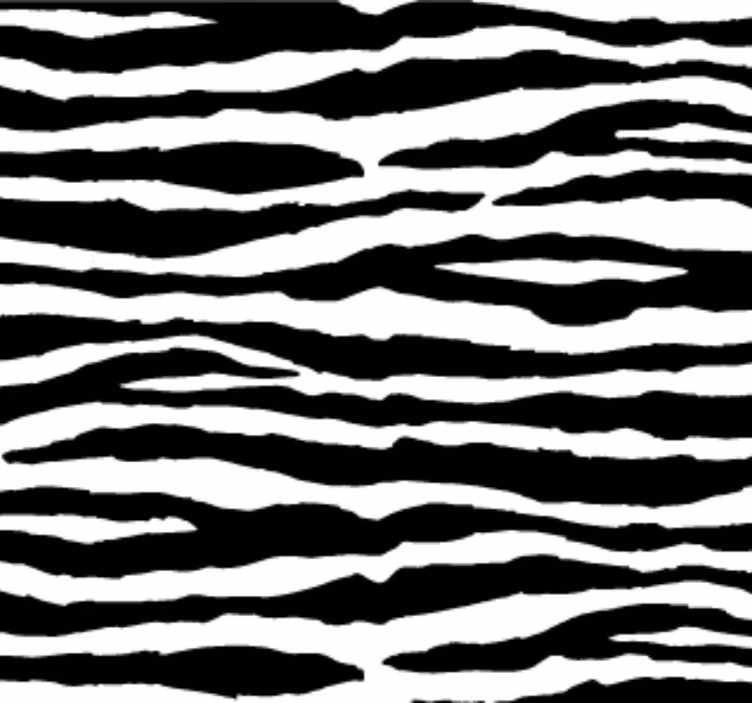 Dieren behang zebra strepen - TenStickers