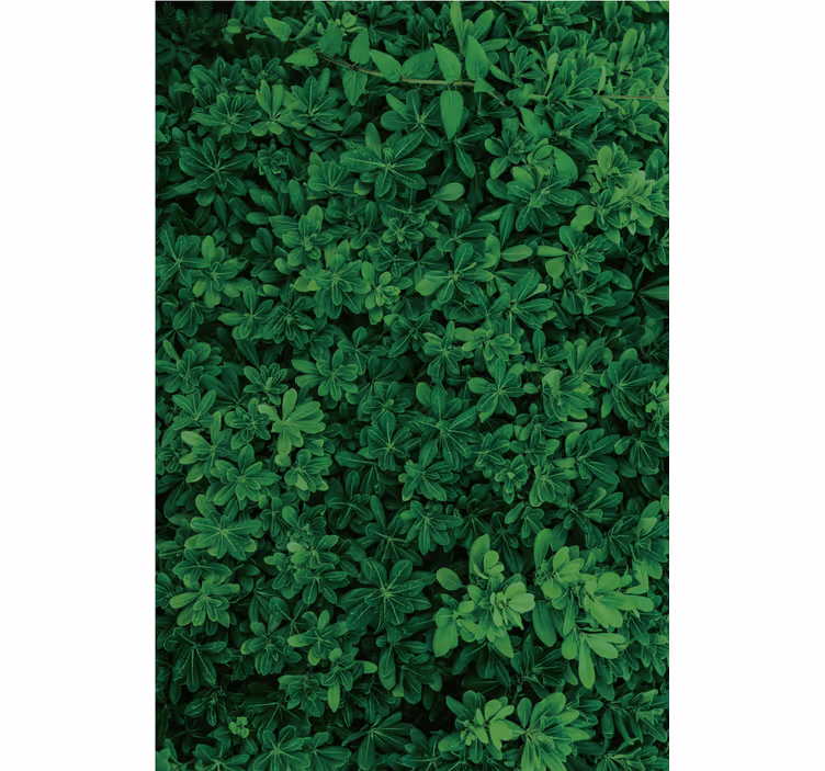 Natuur behang diep groen natuur - TenStickers