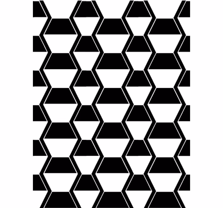 Woonkamer behang cosmopolitan-stijl zwart witte hexagons - TenStickers