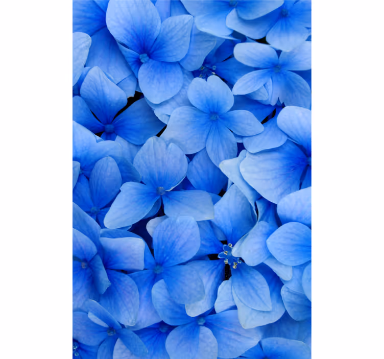 Woonkamer behang hortensia bloemblaadjes patroon - TenStickers