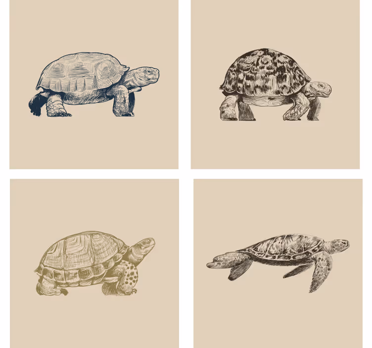 Vintage behang schildpadden beige achtergrond - TenStickers