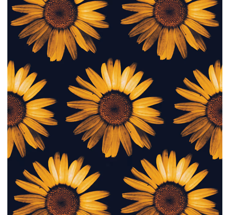 Behang bloemen gele zonnebloem - TenStickers