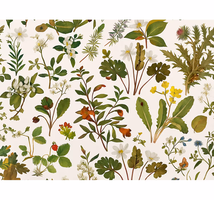 Behang hoofd slaapkamer botanisch ontwerp op witte achtergrond - TenStickers
