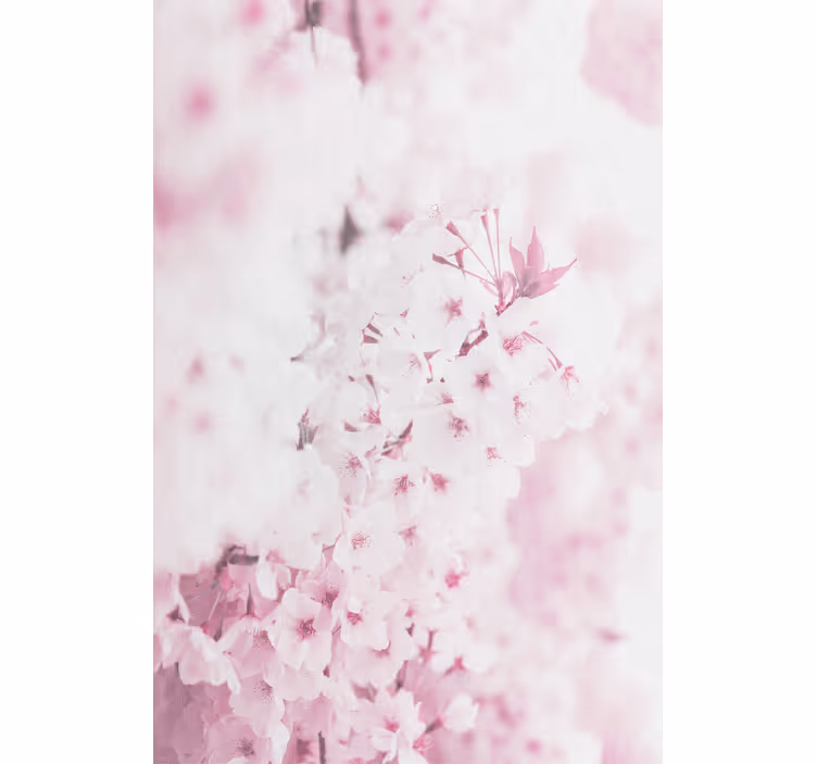 Behang bloemen lichtroze bloemenachtergrond - TenStickers