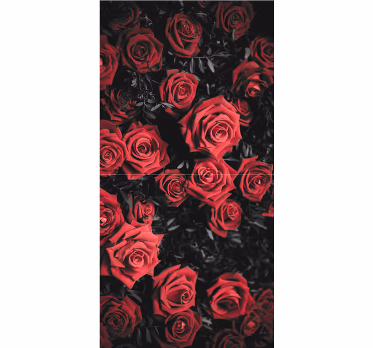Behang bloemen mooie rode rozen - TenStickers