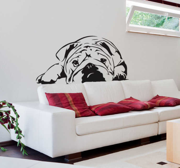 TenStickers. Engelse Bulldog stcker. Deze lieve Engelse Bulldog kan zich in jouw woonkamer bevinden! Deze muursticker met dit lief hondje. Een Engelse Bulldog is zeer vriendelijk.