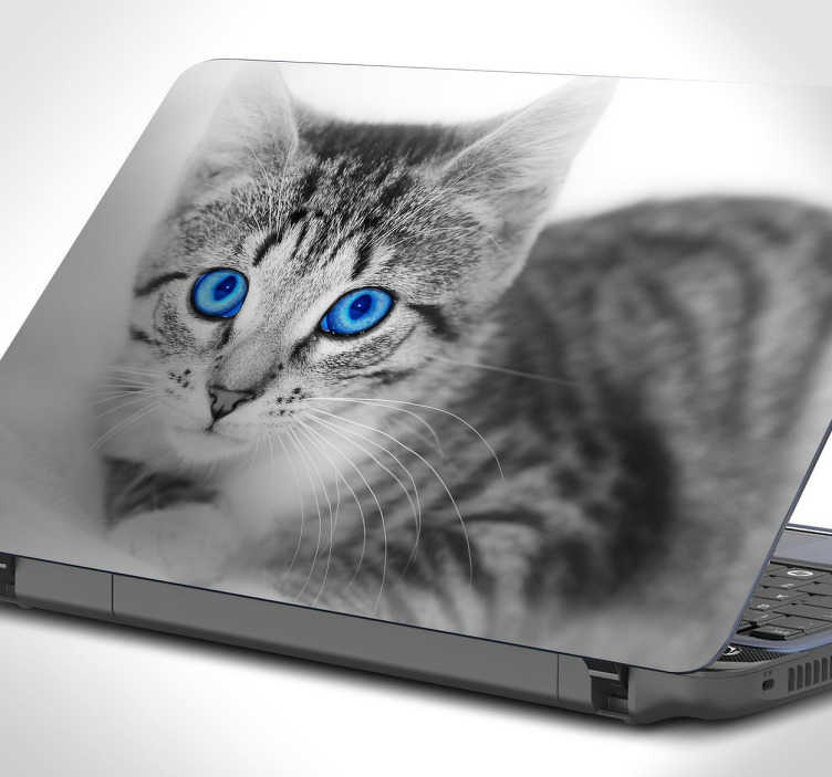 TenStickers. Laptop sticker kat blauwe ogen. Decoreer je laptop met dit lieve pluizige beestje met heldere blauwe ogen. Deze sticker bestaat uit een liggende kat die naar je kijkt met mooie heldere blauw ogen.