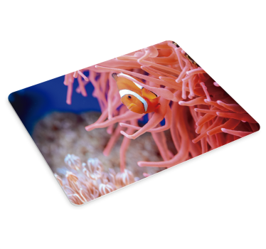 Muismat xxl clownvis tussen anemonen - TenStickers