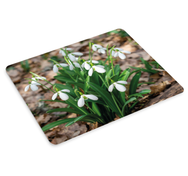 Originele muismat sneeuwklokjes bloemarrangement - TenStickers
