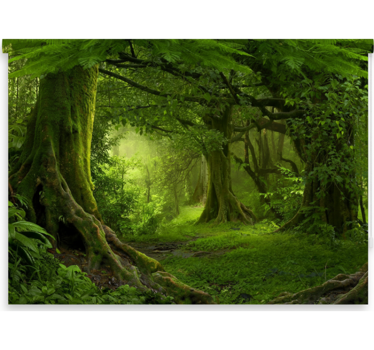 Rolgordijn bomen natuurlijke bosontsnapping - TenStickers