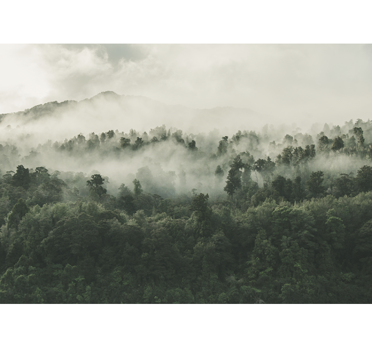 Rolgordijn keuken bos met mist van boven - TenStickers