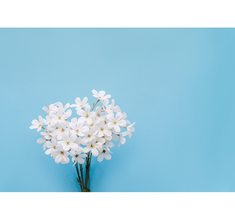 Rolgordijn keuken jazmin blauwe achtergrond - TenStickers