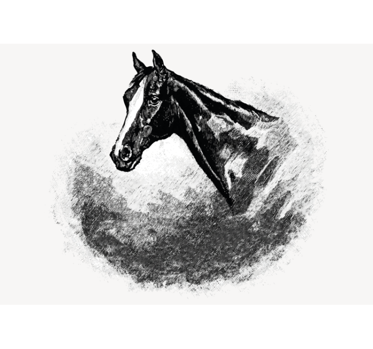 Wit rolgordijn graphite paarden - TenStickers