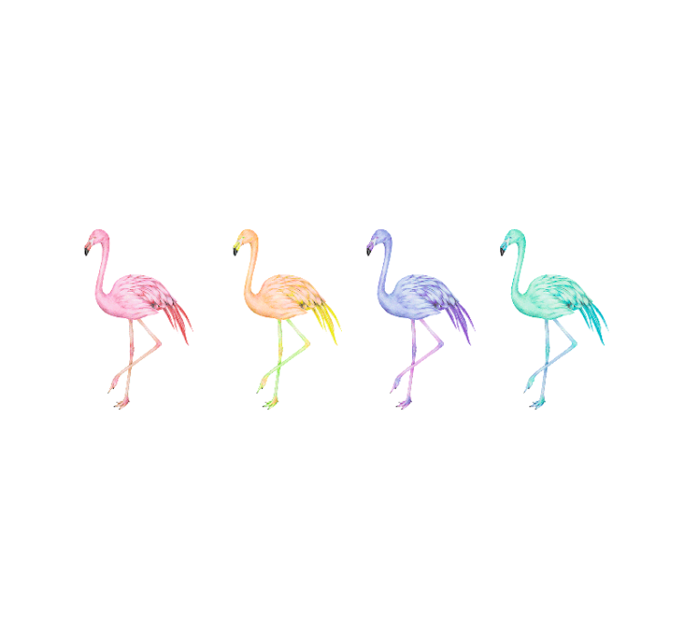 Wit rolgordijn met kleurrijke naadloze flamingo's - TenStickers
