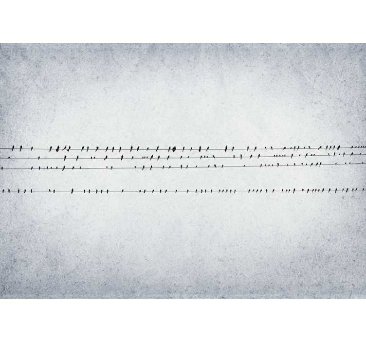 Wit rolgordijn concert van vogels op lijnen - TenStickers