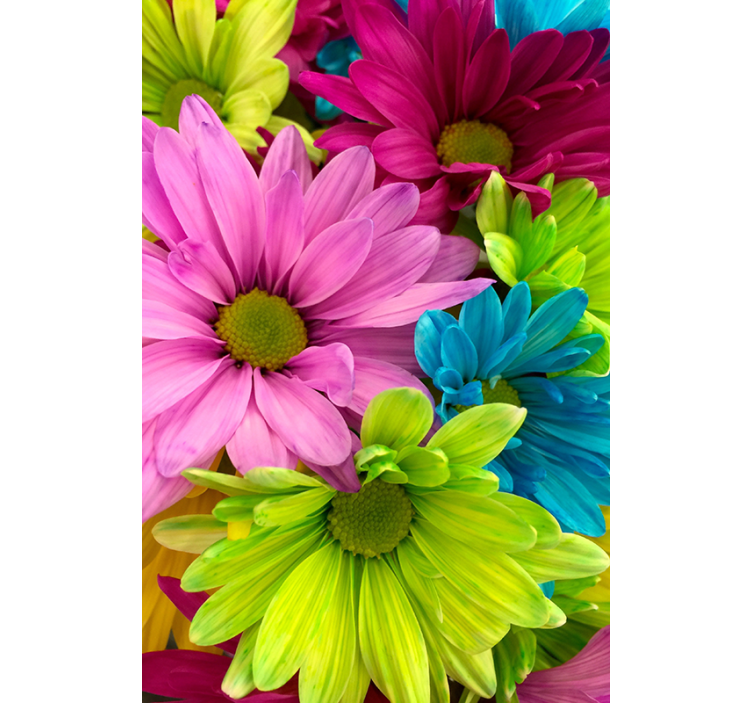 Rolgordijn woonkamer kleurrijke bloemen - TenStickers